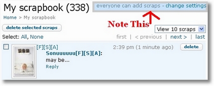 Orkut Scrapbook Settings 1