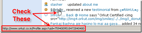 Orkut “Updates from my friends” Feature - Testimonial Bug