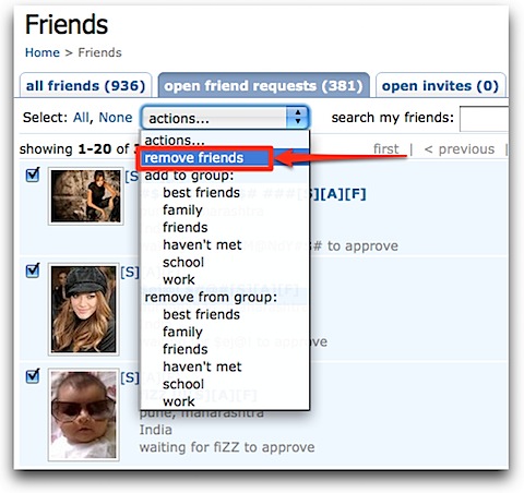 Orkut Manage Friends - Remove Friends option.jpg