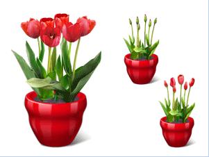 flower gadget