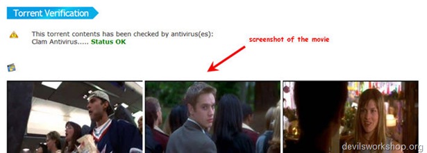 torrent screenshots