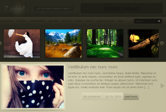 zaoel_wordpress_theme
