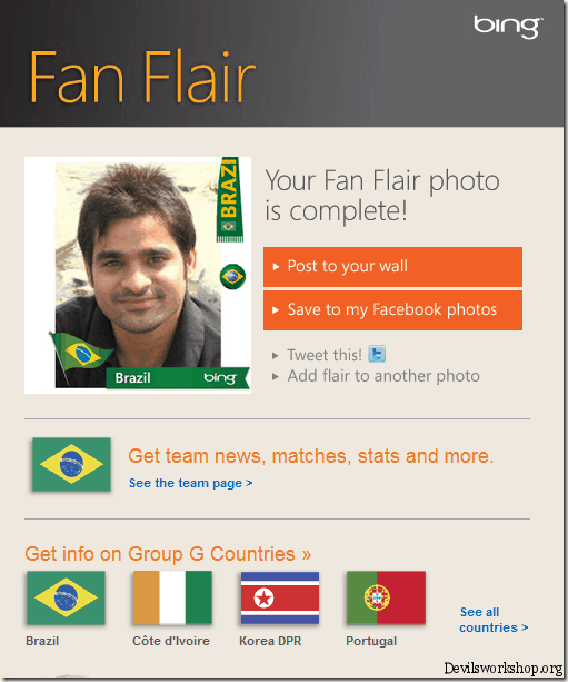 fan flair info