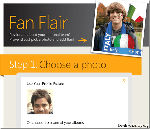 fan flair photo