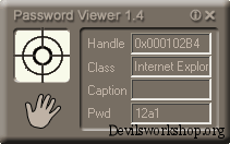Password Viewer