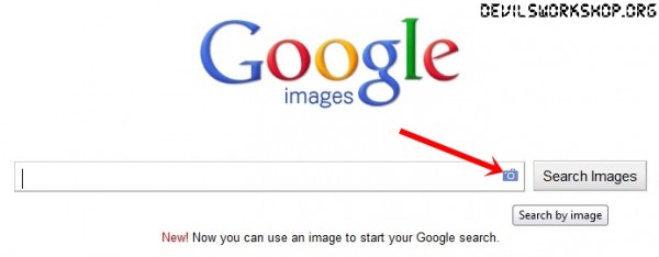 reverse image search